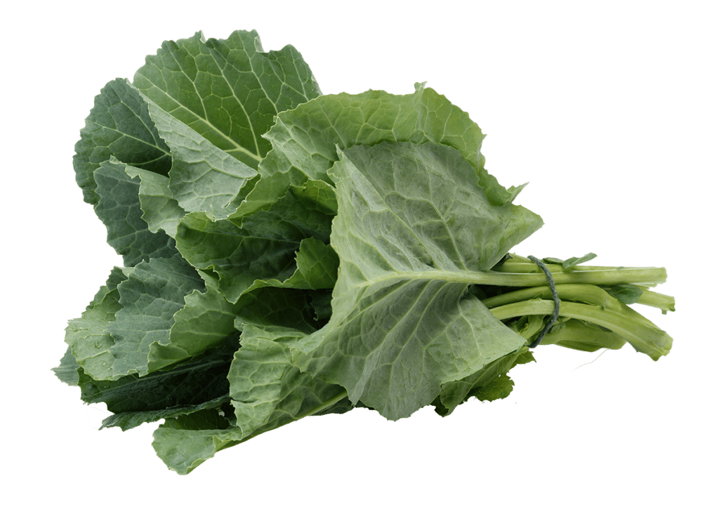 A bunch of fresh collard greens tied together with a rubber band, ready to add a crisp touch to your Elementor landing page.