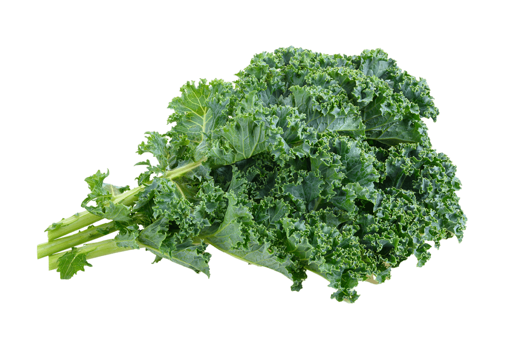 A bunch of fresh green kale leaves with ruffled edges and visible stems, ideal for adding a natural touch to your Elementor landing page, isolated on a transparent background.